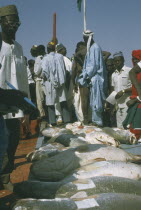 Row of fish with onlookers at the Fishing Festival