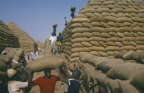 Workers building pyramids from sacks of groundnuts.