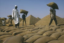 Workers building pyramids made from sacks of groundnuts