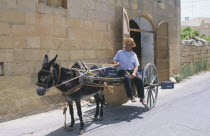 Man with donkey cart in street