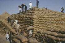 Men stacking sacks of groundnuts to create a large pyramid
