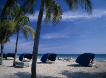 Sunbathers sitting in blue Windbreaks on sandy beach lined with palm trees
