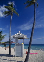 Lifeguard hut on sandy beach beside coconut palm trees