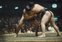Grand Sumo wrestling championship