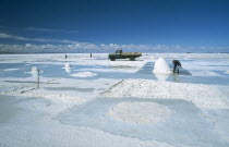 Salar de Uyuni. Salt mounds with workers and collection truck Lorry