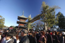 Narita San Temple. New Years Holiday worshippers crowd the front court of the temple with the pagoda and traditional gate of pine  bamboo and bundled rice straw behind Narita