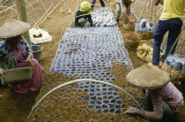 Cukul Tea Estate. Nursery workers with seedling bags.
