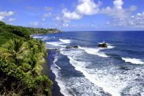 View along palm lined coastline