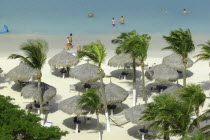 View looking down on white sandy beach lined with thatched umbrellas and small palm trees