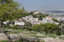 City view seen from a hillside