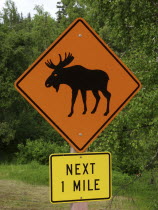 Road side sign warning of possibility of Moose in the road for the next 1 mile