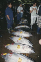 Tsukiji Market.  Tuna fish for sale and buyers.