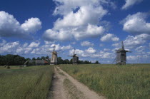 Dirt track leading to windmills in agricultural landscape with dramatic cloudscape above.