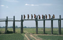 Line of monks crossing two hundred and fifty year old bridge over flood plain near Mandalay.Burma Myanmar