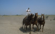 Cossack horseman driving team of five horses from sanding position on backs of pair behind.