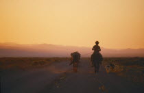 Gaucho on horseback riding along dirt road at sunset leading a packhorse and with two dogs running alongside. cowboy