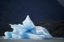 Iceberg on Lake Grey. Gray