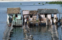 Slum dwellings raised above sewage polluted water with access by wooden bridge.Brasil slum favella Brazil