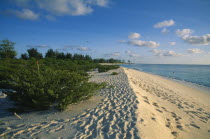 Footprints along shoreline of empty sandy beach.