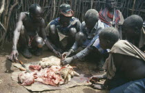 Karamojong elders examining intestines of sacrificed sheep to foretell future.Pastoral tribe of the Plains Nilotes group related to the Masi