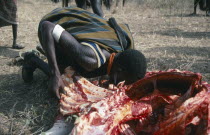 Karamojong warrior drinking blood from sacrificed bull.Pastoral tribe of the Plains Nilotes group related to the Masi