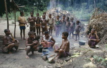Pygmies.  Extended family group.Zaire Congo  Nomadic forest dwelling Twa people