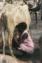 Young Dinka woman wearing pink Western style dress and jewellery milking cow in cattle camp.