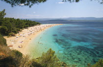 View over Zlatni Rat Beach lined with trees and scattered bathers