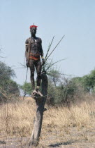 Dinka man standing in tree with net and spear.