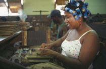 Female worker with her hair in curlers rolling cigars in factory.