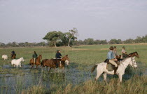 Horse safari
