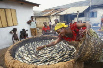 Woman spreading small fish in a large basket for smoking