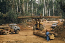 Timber workers watching large log being carried away