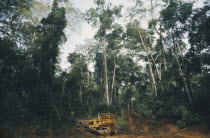 Logging in forest area for timber