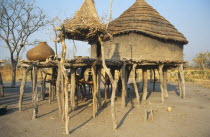 Thatched mud house raised on wooden stilts in Dinka village.