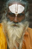Hindu sadhu holy man
