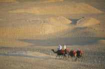Camel train returning from the Pyramids