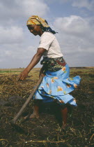 Young woman hoeing land by hand.