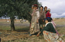 Olive pickers