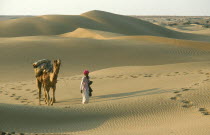 Thar Desert.  Man walking with camel over dunes leaving prints in the sand.
