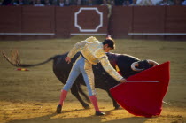 Bullfight Matador