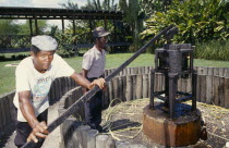 Old sugar cane crusher