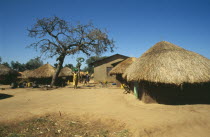 Uganda, Lira, IDP camp huts beneath trees.