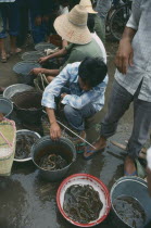 Market sellers with buckets of Eels.