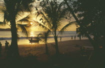 View from beach at sunset through palmtrees towards water with people on sand.