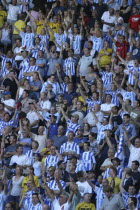 Brighton and Hove Albion supporters at the Madejski Stadium Reading