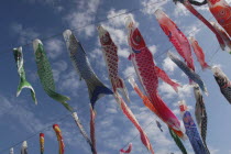 Koinobori  Carp Flags  traditional good luck symbol  at Tako #3 Elementary School