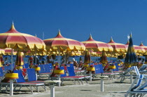 Lines of red  yellow and blue parasols and sun loungers on sandy beach.