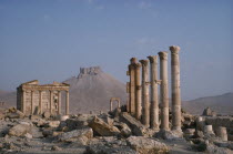 Roman ruins with columns and pillars and The Islamic Fort in the distance. Tadmur