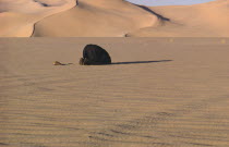 Man praying in the desert.